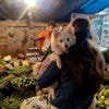 Donner un biberon, attacher un animal… Dans ce pays, ces gestes anodins peuvent conduire en prison