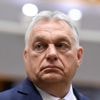 ‘Man van het volk’ Orbán onder vuur: landgoed van tientallen miljoenen euro, inclusief zebra’s en wegdekverwarming