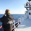 Plus de 270 migrants secourus au large de la Tunisie par SOS Méditerranée