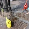 Trockenheit und Hitze: Junge Stadtbäume brauchen Wasser