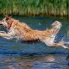 Stabiles Hoch: „Lupenreines Sommerwetter“