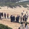 Surfer dead after being mauled by a shark at Dee Why Beach