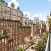 Houtbouw was lang uit de gratie. Toch krijgt Stockholm nu een houten stadswijk. Hoezo?