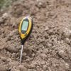 Vous avez un sol alcalin et calcaire dans votre jardin ? Voici comment le végétaliser