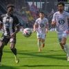 Angers Sco. Carlens Arcus : « On fait ce métier pour le voir le sourire dans le visage des gens »
