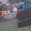 Dive-bombing buzzard forces school to close playground