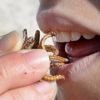Les insectes vont-ils bientôt faire partie de notre alimentation ?