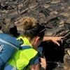 Incendie dans l’Aude : « La faune sauvage n’a pas pu fuir les flammes »