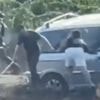 Rave-party dans l'Aude : des scènes de violences entre fêtards et viticulteurs