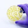 Brits warned against sharing towels and razors after spike in MRSA superbug infections outside of hospitals