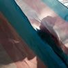 Zwischen Angst und Widerstand: Wie trans Personen unter Trump leben