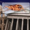 Rome overspoeld door vliegende kakkerlakken: beelden tonen hoe insecten over straat schieten en huizen binnendringen