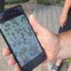 REPORTAGE. "On n'aurait pas découvert ces beaux endroits sans ce jeu" : le géocaching séduit de plus en plus de Français
