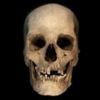 Ancient Egyptian history may be rewritten by DNA bone test