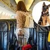 Italy blasted for 'ridiculous' new cabin rule on planes as passengers ask 'how is this okay?'