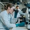 Gehackt laboratorium betaalt losgeld om meer schade te voorkomen