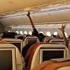Passenger's chilling video 'shows 'nothing working' from air con to TV screens on doomed Air India jet hours before Gatwick-bound flight crashed in deadly fireball'