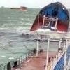 Sechs Monate nach der Havarie: Russische Öltanker richten verheerende Schäden im Schwarzen Meer an