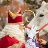 Voormalig paard van Sinterklaas overleden: 'Drie jaar van pensioen genoten'