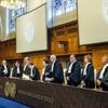 Crise climatique : dans un avis très attendu, la Cour internationale de justice ouvre la voie à une obligation pour les pays pollueurs de payer des "réparations"