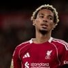 PORTRAIT. De l’échec au PSG à Liverpool et l'équipe de France, le parcours sinueux d’Hugo Ekitike, qui "a tout pour devenir le numéro 9 des Bleus"