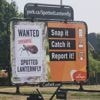 US Open. « Prenez la d’abord en photo et tuez-la » : le tournoi menacé par une invasion d’insectes