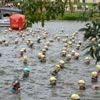 EN IMAGES. Plus de 1 300 athlètes ont bataillé sur le triathlon de Château-Gontier