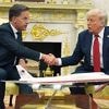 Trump setzt Putin 50-Tage-Frist: Nato und USA einigen sich auf Waffenlieferungen an die Ukraine