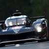 "On n'y voit rien !" : le circuit des 24 Heures du Mans envahi par les insectes