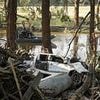 Floods death toll set to soar FAR higher than feared as sheer terror of victim who couldn't be saved emerges