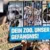 Nach Tötung dreier Tigerbabys: Peta droht Zoo-Verantwortlichen in Leipzig mit Anzeige
