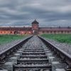 Mehrheit fordert „Schlussstrich“ : Wie halten wir die Erinnerung an Nazi-Verbrechen lebendig?