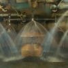 Het zuiveren van water heeft veel impact op het klimaat, maar met deze bacterieën wordt die de helft kleiner