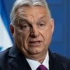 Ukraine rejects accusation by Hungarian leader Orbán over the fatal beating of a dual citizen
