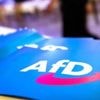 Heimliche Weitergabe von Infos zur AfD-Einstufung?: Im Verfassungsschutz ist plötzlich die Erinnerung weg