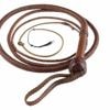 Indiana Jones whip snaps up $525,000 at auction after 'Citizen Kane' sled goes for $14.75 million