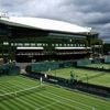 Wimbledon. Les Français pas épargnés, même tableau pour Sinner et Djokovic… Les affiches du 1er tour