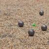La pétanque séduit de plus en plus à New York