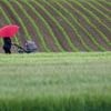 Wetteraussichten: Wettermix am Feiertag - zum Wochenende wärmer