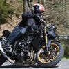 Honda CB 1000 Hornet SP im Test: Stichhaltige Argumente