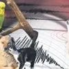 YÜKSEL AYTUĞ / Depremin geldiğini nasıl anlarız?