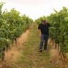 Droits de douane : pas d'exception pour les vins et spiritueux qui seront taxés à 15 % par les États-Unis