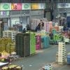 10 septembre : grèves, blocages, boycott… que prévoir ?