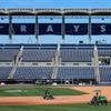 Rays promote speedy prospect Chandler Simpson before game versus Yankees