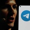 Telegram-Gründer: Frankreich untersagt Pawel Durow Geschäftsreise in die USA