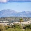 Strenge Einschränkungen möglich: Teilen von Mallorca geht das Wasser aus