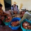 Bolivia's Supreme Court issues rare order that could see detained right-wing politicians freed