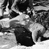 Revealed: The haunting truth behind the 'Battle of Los Angeles' that saw city 'attacked' for 2 hours