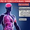 Gangs preying on British tourists in Colombia by befriending them on Tinder or Grindr before drugging them with 'Devil Breath' truth serum to kidnap and rob them