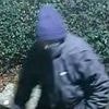 The best ways to burglar-proof your home: How prickly bushes, WD-40 and social media blackouts can help stop criminals targeting your property